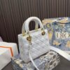 Replica Dior Bag 17*20CM