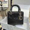 Replica Dior Bag 17CM/20CM