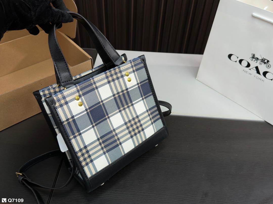 Replica Coach Bag 21*21CM