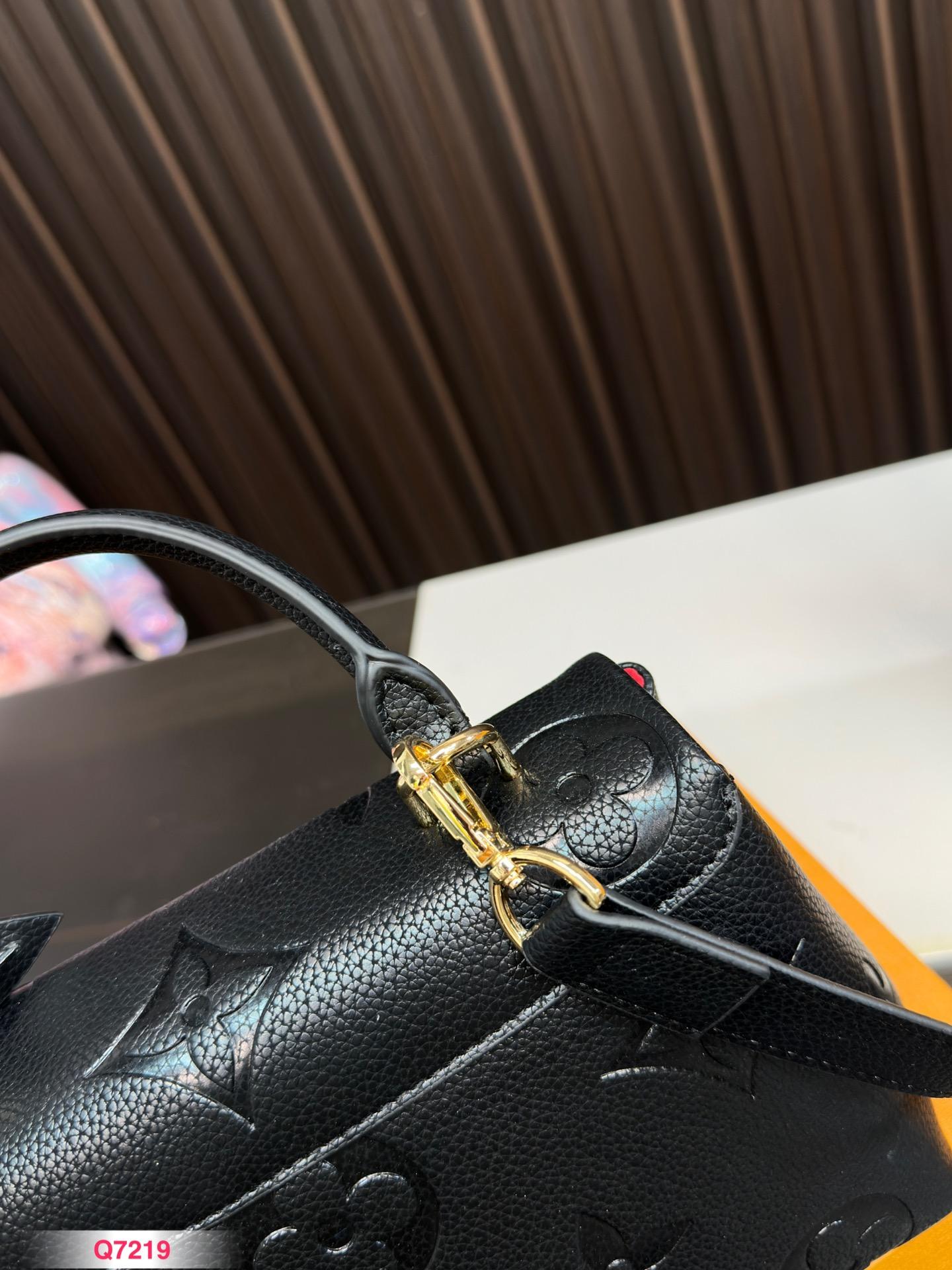 Replica Louis Vuitton Bag 24*15CM