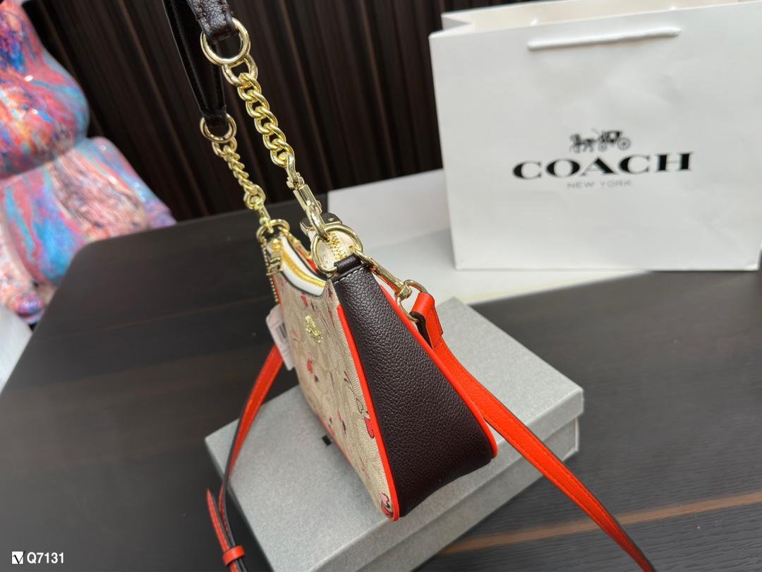 Replica Coach Bag 12*23CM