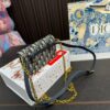 Replica Dior Bag 17*11CM