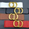 Replica DIOR belt