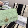 Replica Dior Bag 21*11CM