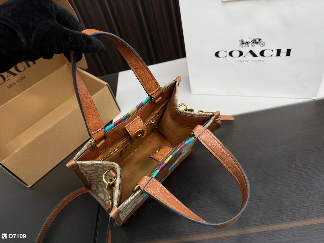 Replica Coach Bag 21*21CM