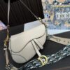 Replica Dior Bag 24*21CM