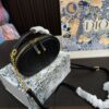Replica Dior Bag 17*10CM