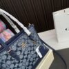Replica Coach Bag 25*20CM