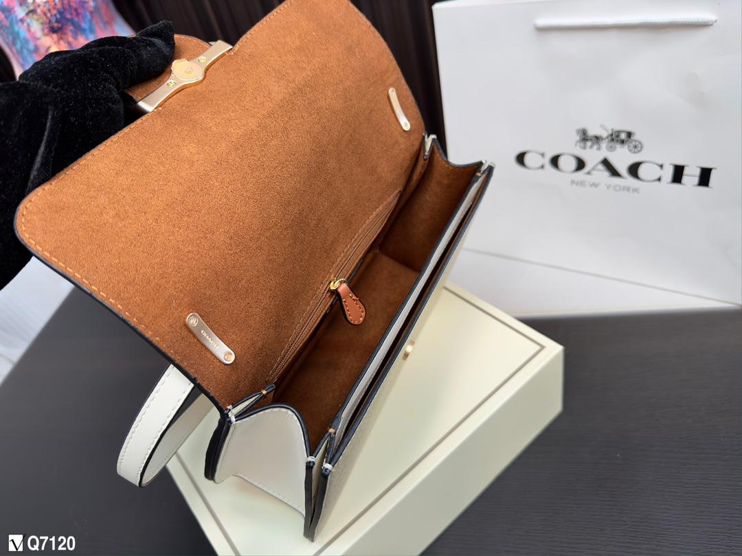 Replica Coach Bag 24*14CM