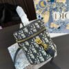 Replica Dior Bag 20*13CM