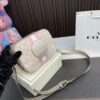 Replica Coach Bag 21*15CM