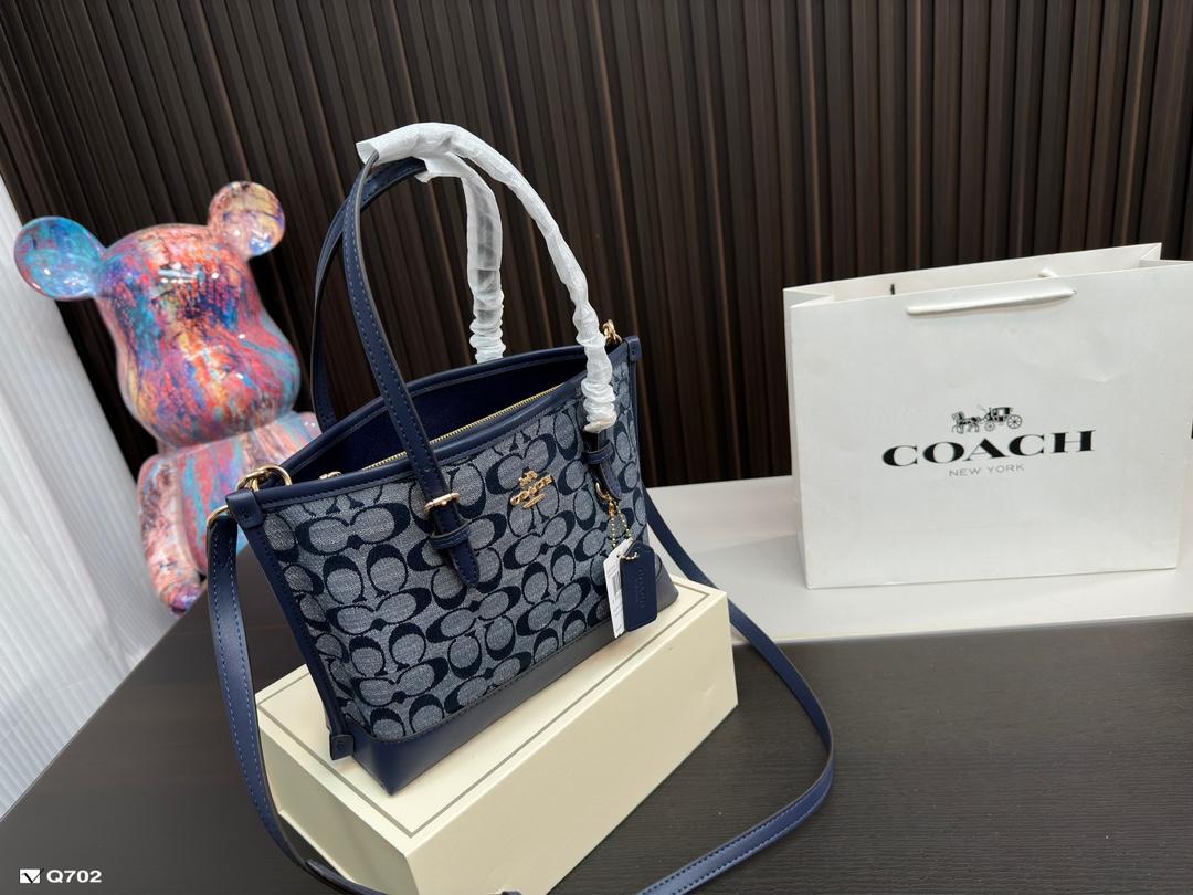 Replica Coach Bag 25*20CM