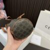 Replica Celine Bag 14*20CM