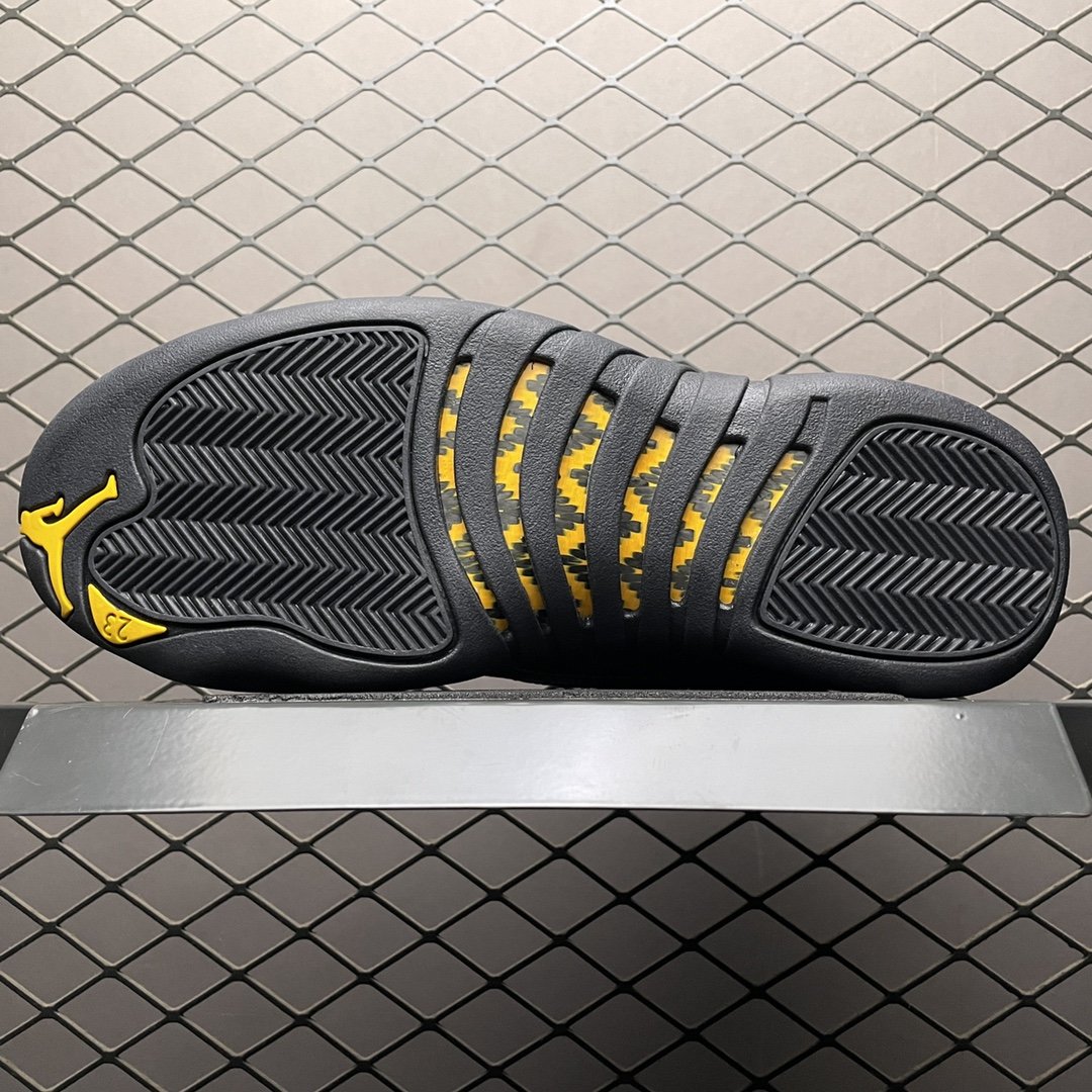 Replica Air Jordan Shoe On Sale Air Jordan 12 AJ12 CT8013-071 Size 40-47.5