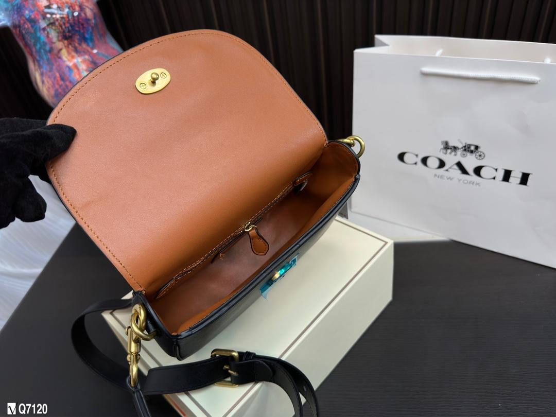 Replica Coach Bag 22*17CM