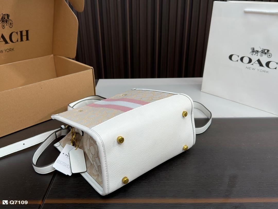 Replica Coach Bag 21*21CM