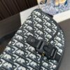 Replica Dior Bag 19*12CM