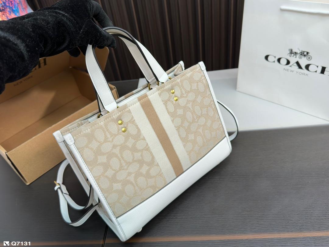 Replica Coach Bag 22*29CM