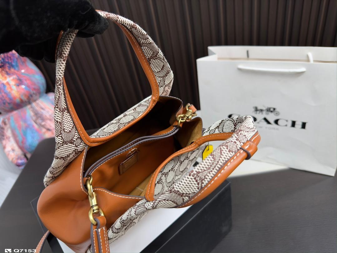 Replica Coach Bag 25*18CM