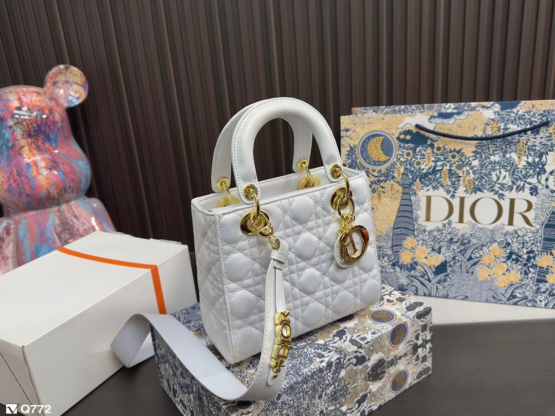 Replica Dior Bag 17*20CM