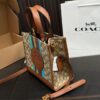 Replica Coach Bag 21*21CM