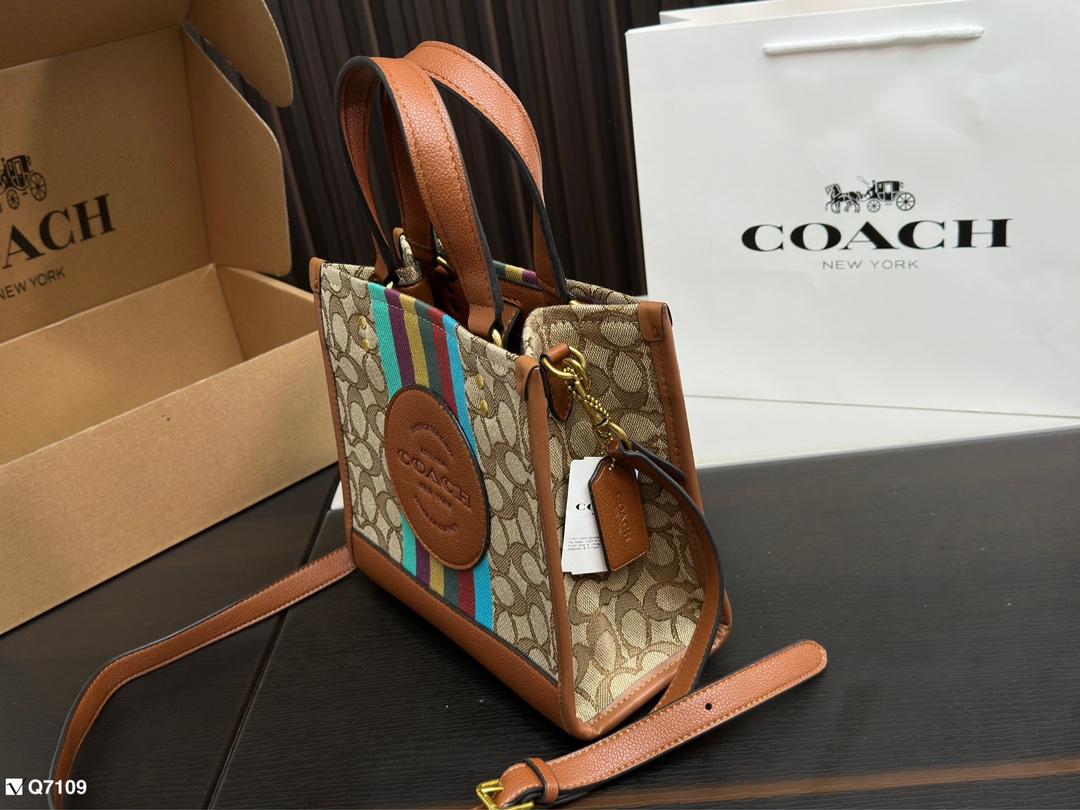 Replica Coach Bag 21*21CM