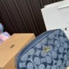 Replica Coach Bag 12*19CM
