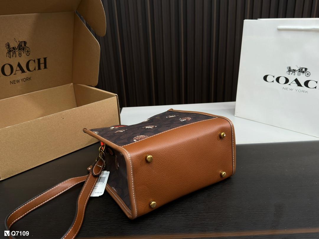 Replica Coach Bag 21*21CM