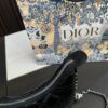 Replica Dior Bag 19*11CM