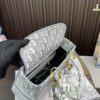 Replica Dior Bag  17*15CM/24*20CM