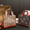 Replica Coach Bag 21*21CM