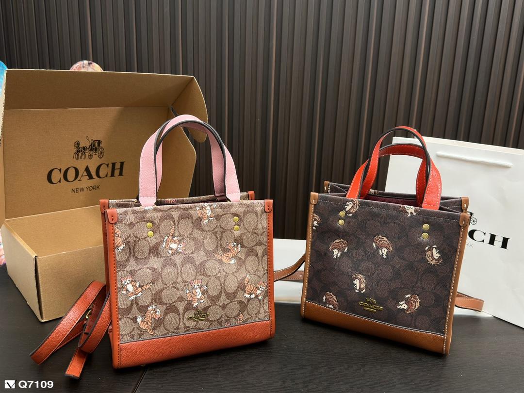 Replica Coach Bag 21*21CM