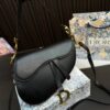 Replica Dior Bag 24*21CM