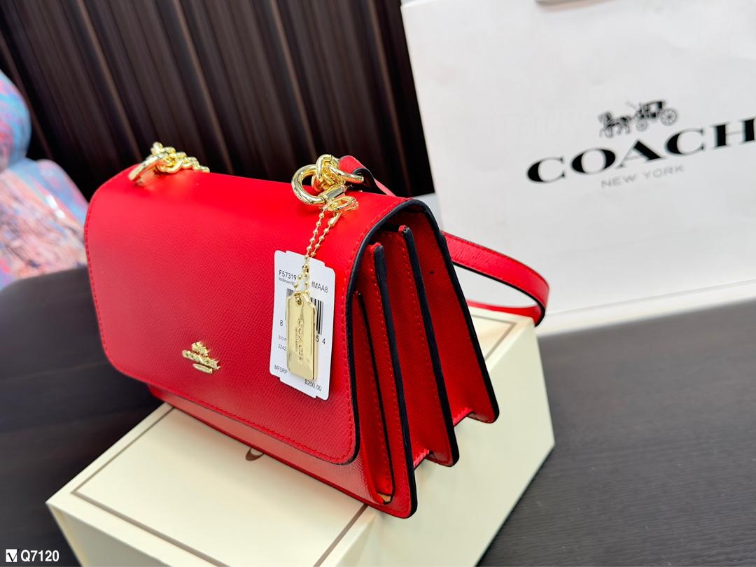 Replica Coach Bag 16*21CM