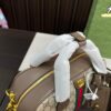 Replica Gucci Bag 32*20CM