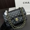 Replica Chanel Bag 25*15CM
