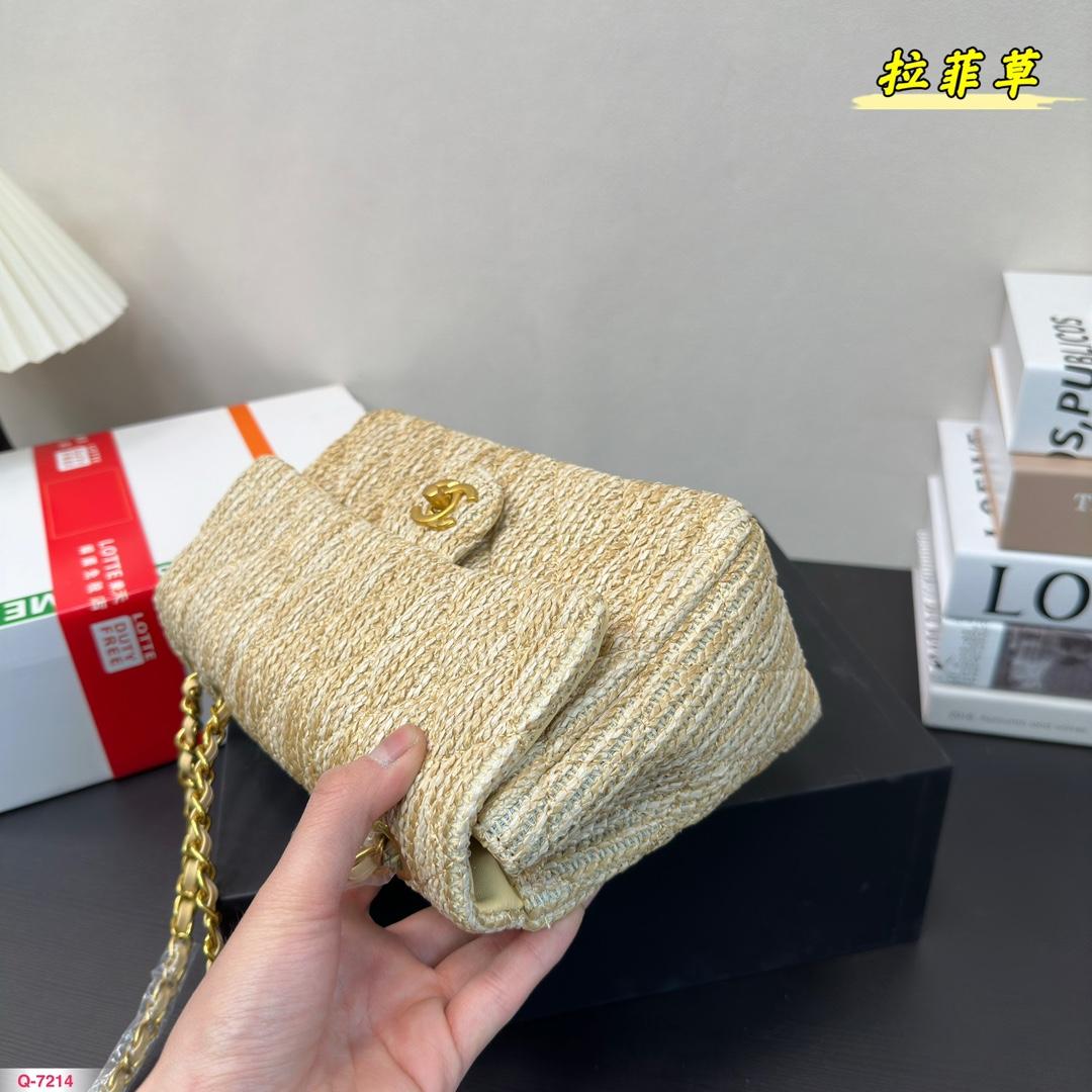 Replica Chanel Bag 24*14CM