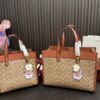 Replica Coach Bag 21*21CM/29*22CM