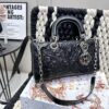 Replica Dior Bag 26*13.5CM