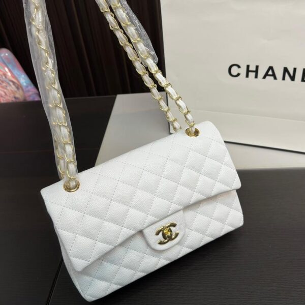 Replica Chanel Bag 25*15CM