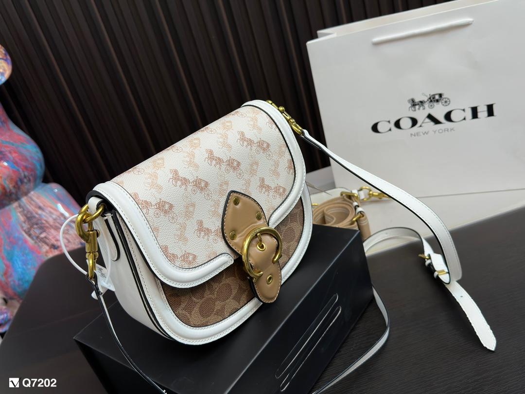 Replica Coach Bag 18*22CM