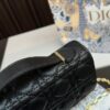 Replica Dior Bag 10*21CM