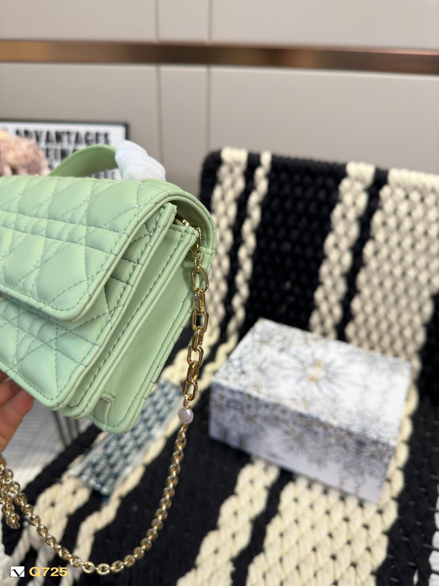 Replica Dior Bag 21*11CM