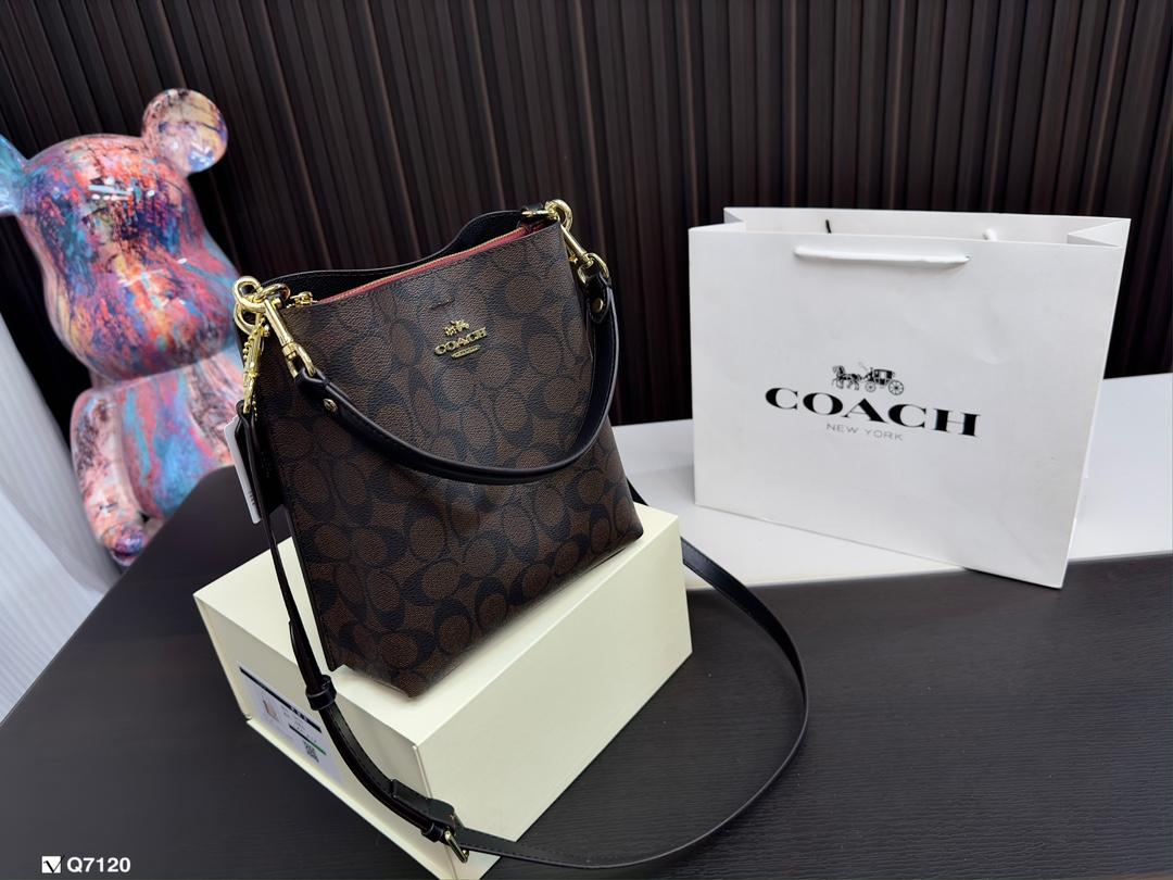 Replica Coach Bag 20*22CM