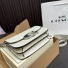 Replica Coach Bag 21*13CM