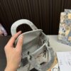 Replica Dior Bag  14*17*7CM