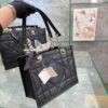 Replica Dior Bag  36*28CM/27*22CM