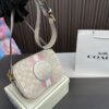 Replica Coach Bag 21*15CM