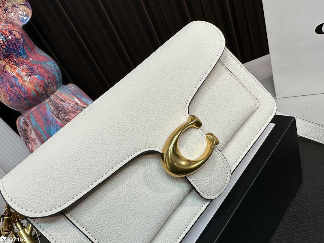 Replica Coach Bag 13*25CM