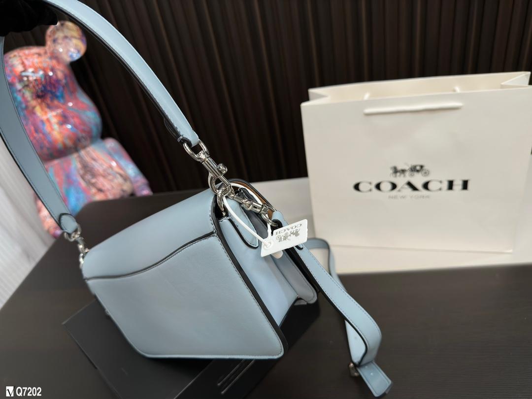 Replica Coach Bag 15*26CM